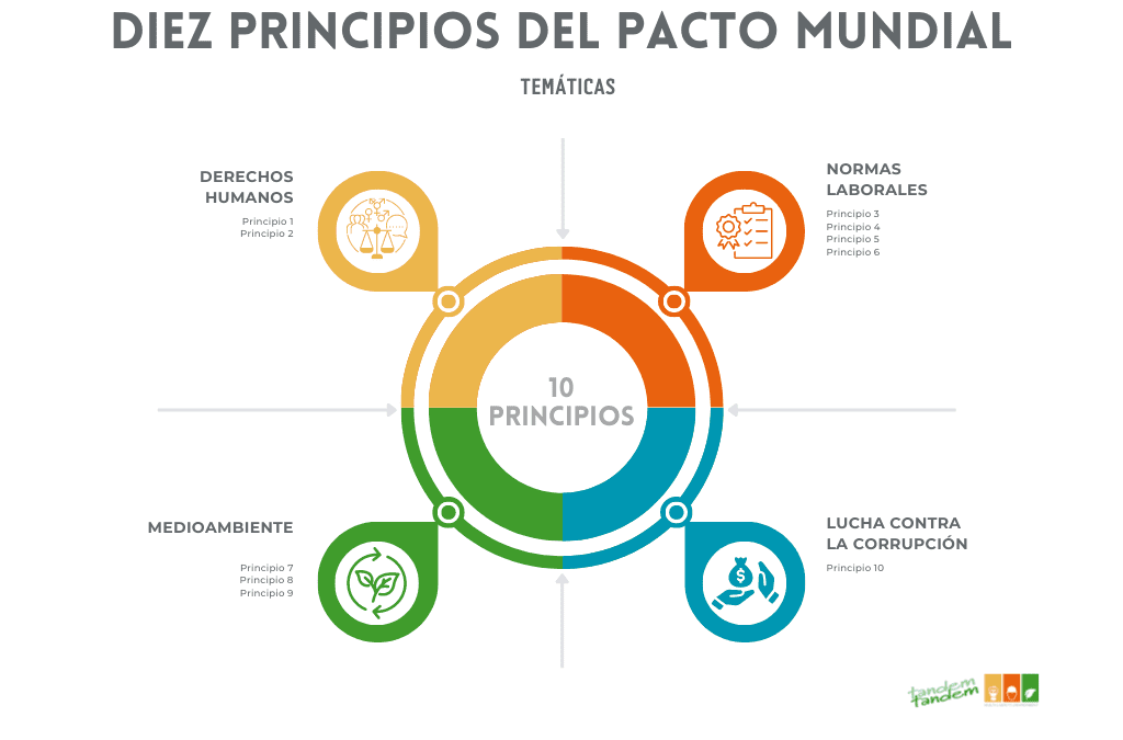 DIEZ PRINCIPIOS DEL PACTO MUNDIAL